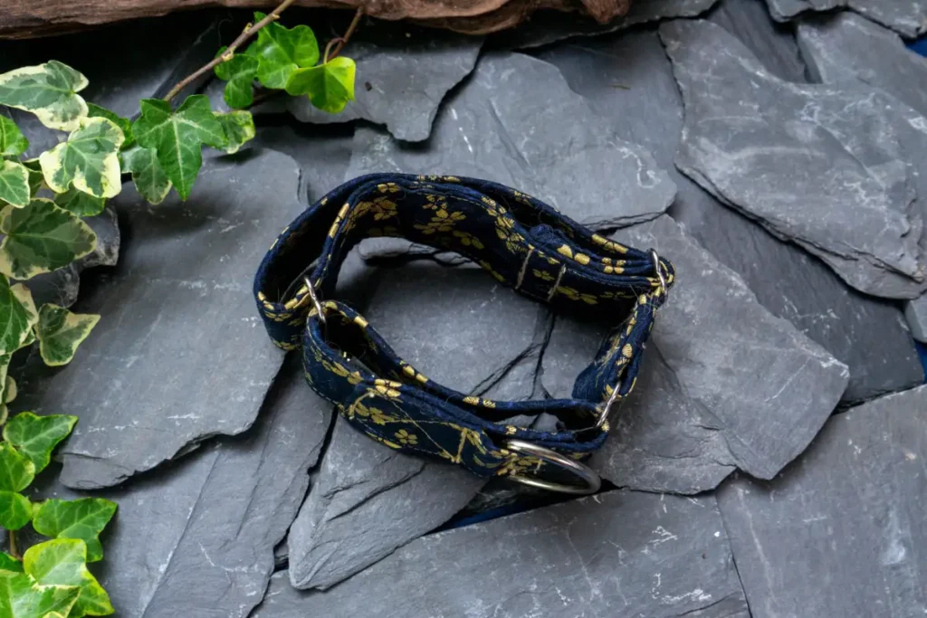 Collier Dog's Safety