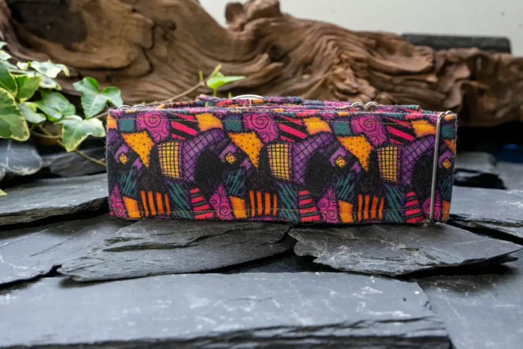 Collier Dog's Safety